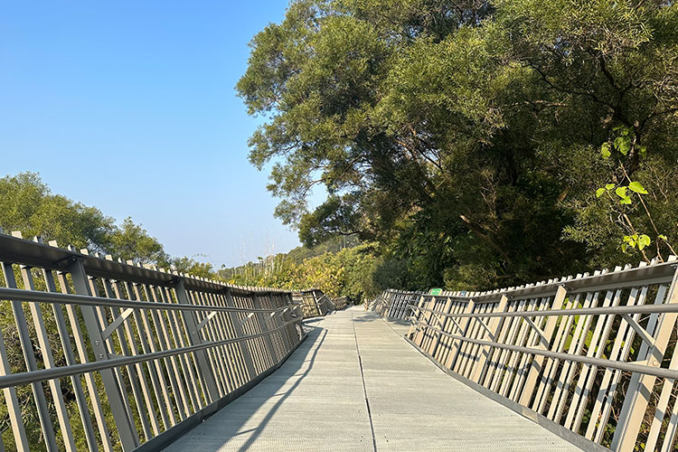 Kinesiska Fuzhou City Forest Pavement